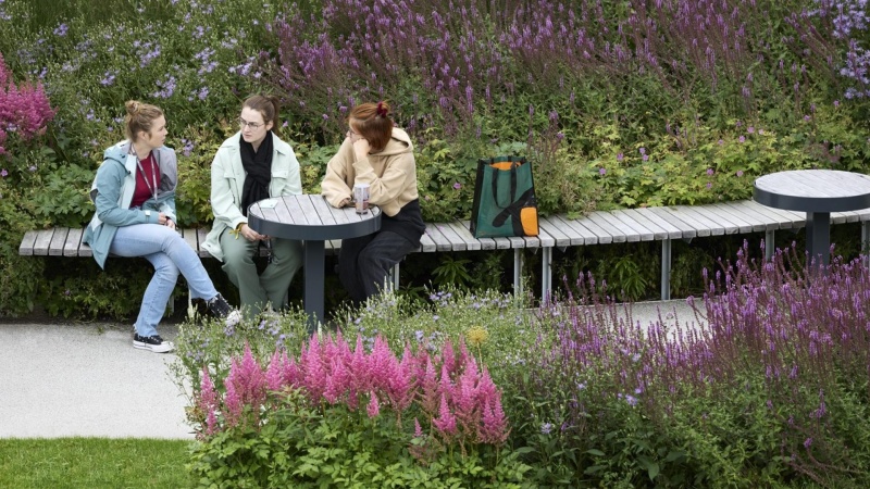 Fra grå asfalt til grønt åndehul: Danske Werk transformerer norsk campus