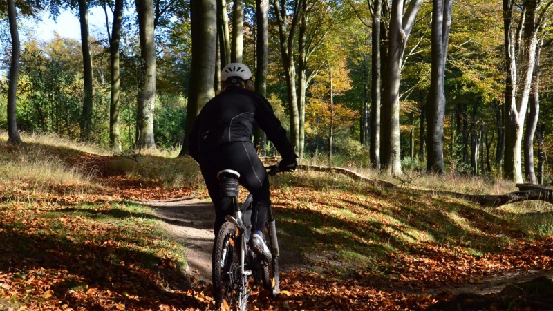Ny forskning bekræfter: Motion mindsker risiko for førtidspension